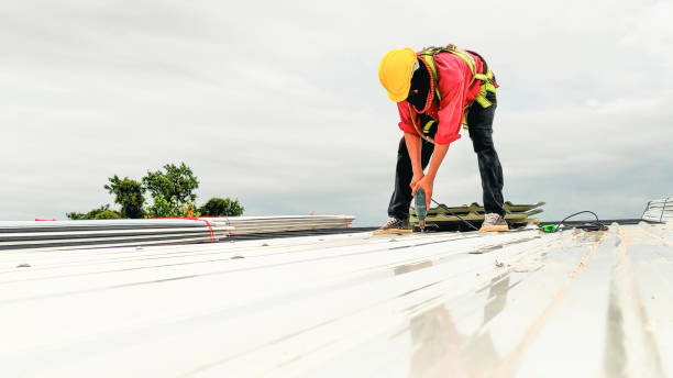 Steel Roofing in Griffin, GA